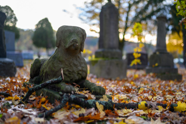 dog tombstone