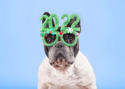 2022 End of Legislative Session Update