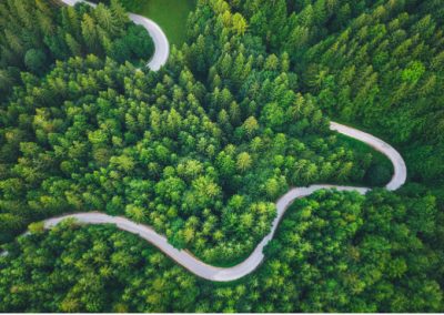 How do you stay calm in the storm: Tranquility Shot