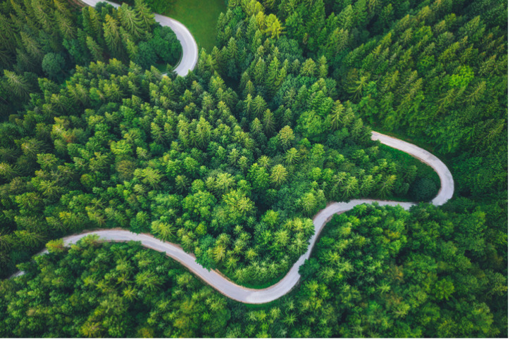road winding through trees