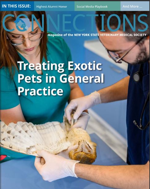 Connections September-October ’22