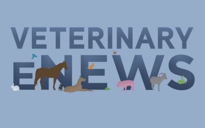 Most Read Articles in Enews