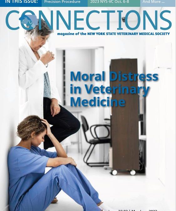 Connections May-June ’23