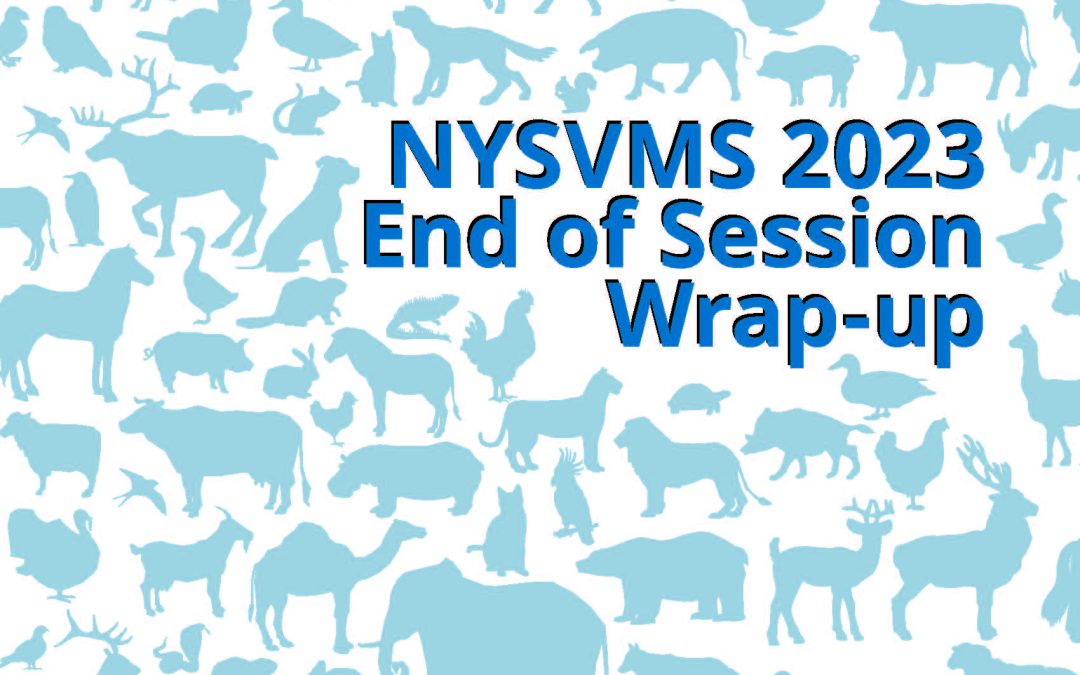 Connections July-August ’23