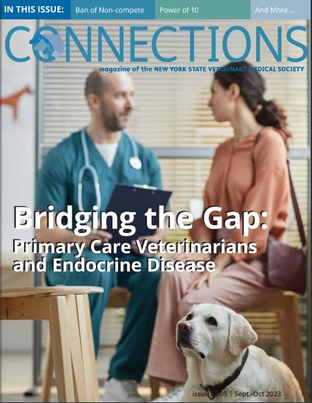 Connections September-October 2023