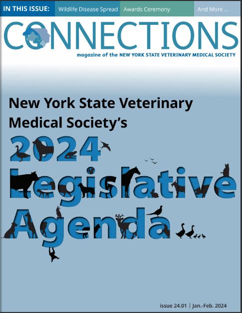 Connections January-February ’24