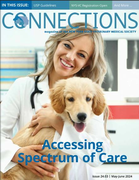 Connections May-June ’24