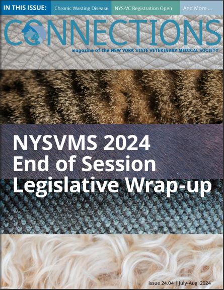 Connections July-August ’24