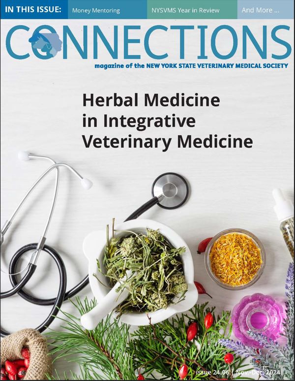 Connections November – December ’24