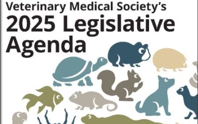 Connections January – February ’25