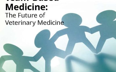 Connections March – April ’25