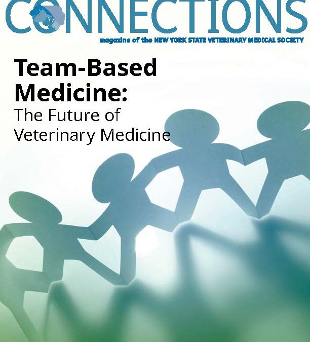 Connections March – April ’25