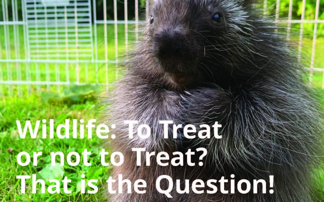 Connections May-June ’25