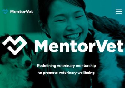 MentorVet Scholarships