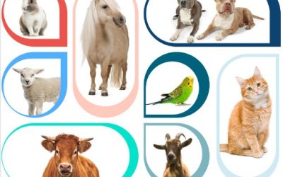 Connections July – August ’25