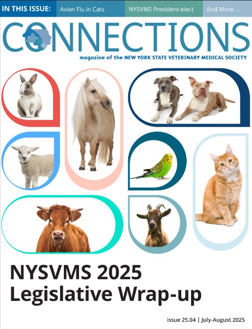 Connections July – August ’25