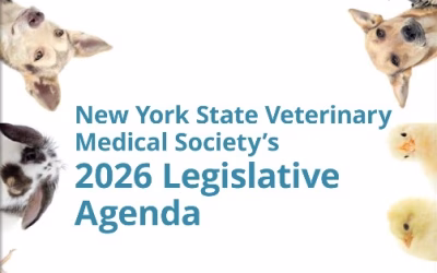 Connections Jan – Feb ’26