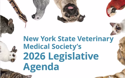 2026 Legislative Agenda