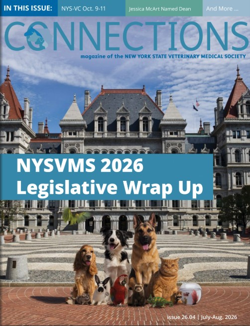 Connections July – August ’26