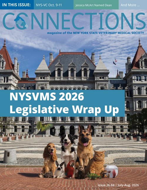 Connections July/Aug 2026 cover