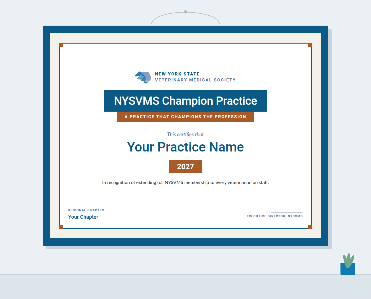 Framed NYSVMS Champion Practice certificate hanging on a wall